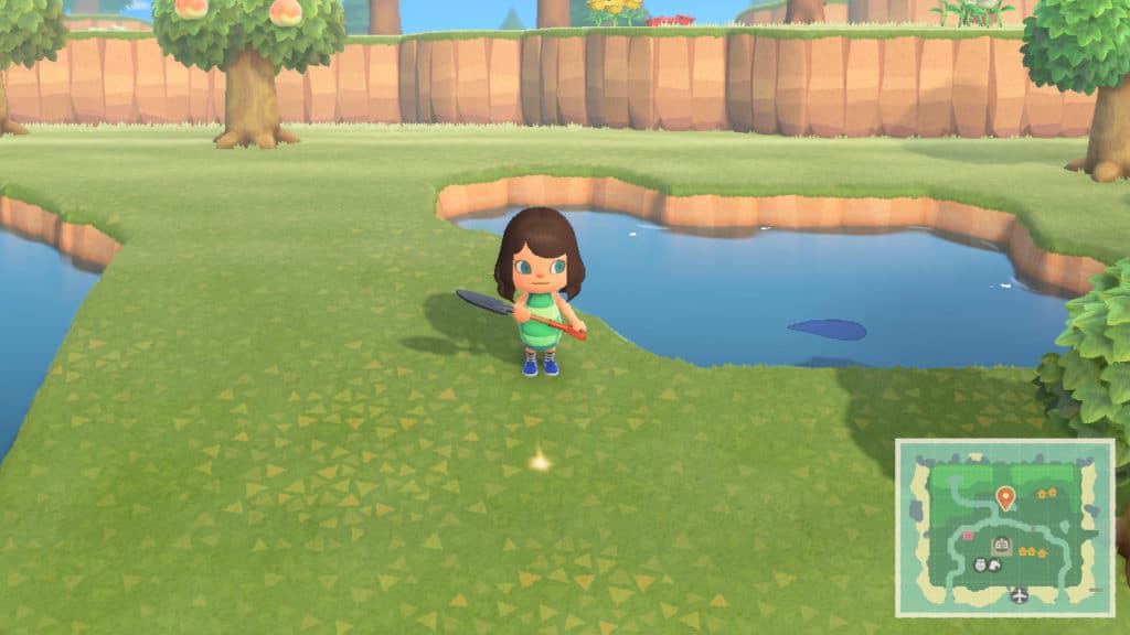 Un sac de clochette enterré dans Animal Crossing New Horizons