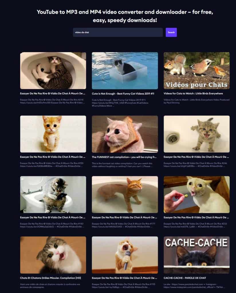 MP3Shack : on peut aussi afficher toutes les vidéo de chats par exemple