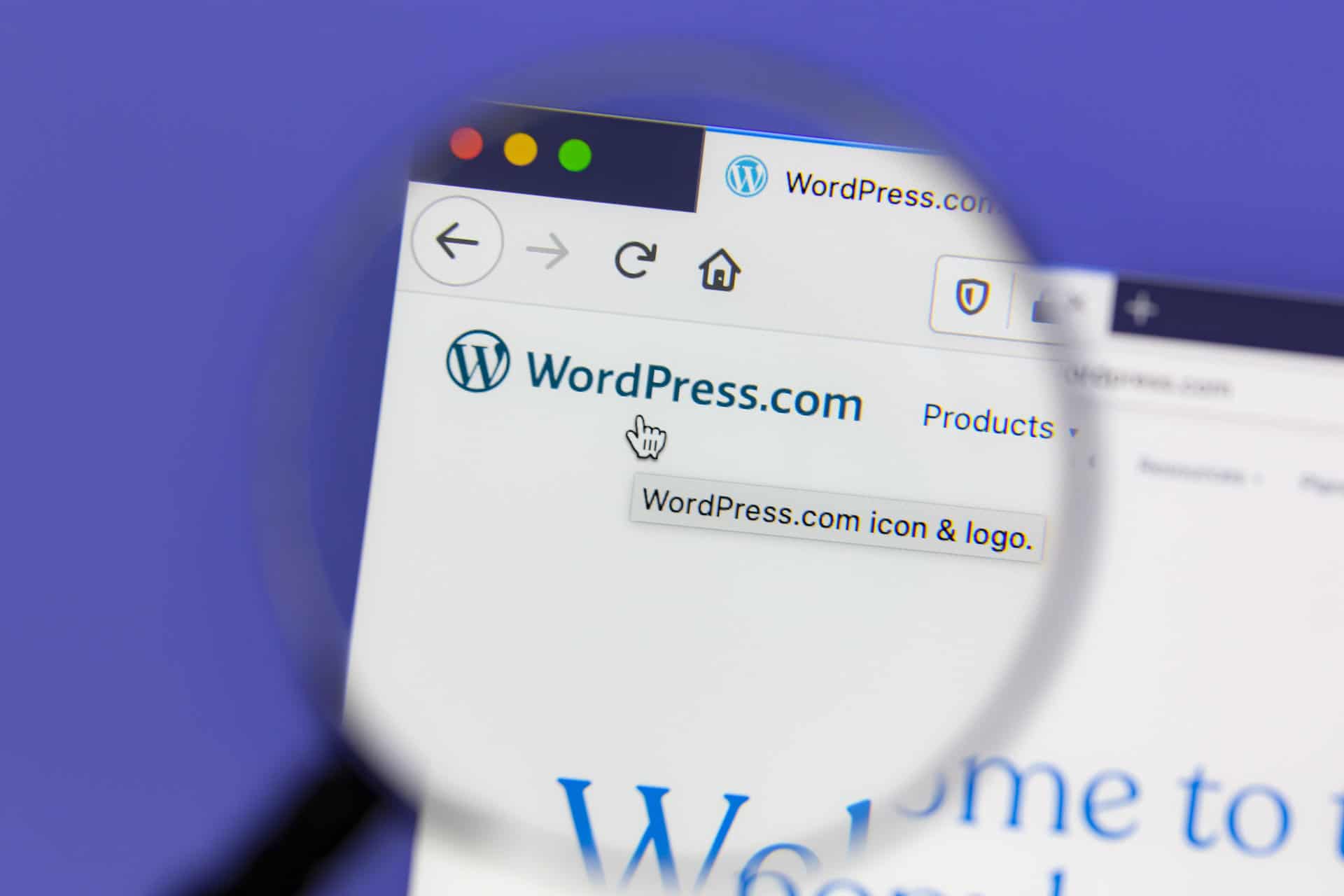 Il faut une installation de WordPress à vous sur un serveur pour vraiment avoir les accès pour optimiser votre site